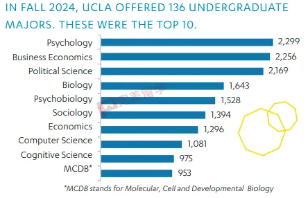 UCLA公布各学院或专业2025Fall录取率，看看哪个专业最难录取-图片5